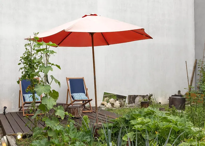 Quintal Organico * オビドス